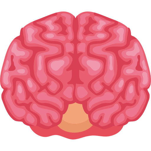 Frontal brain Icon