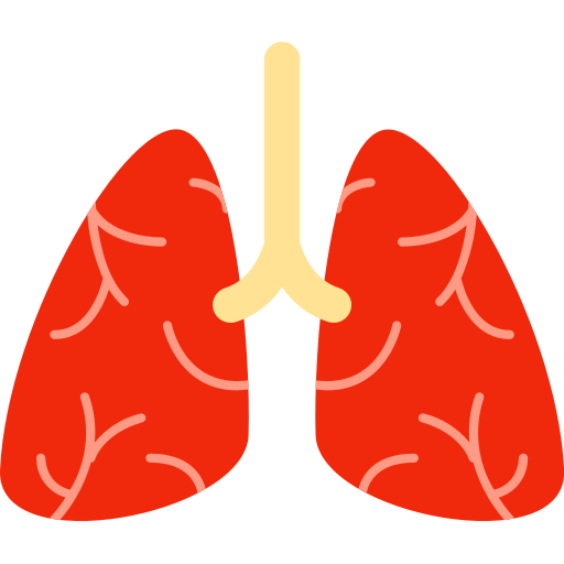 lung Icon