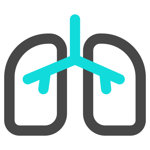 lungs Icon