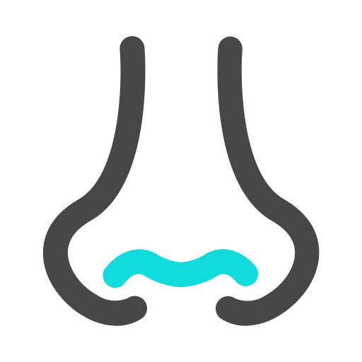 nose Icon