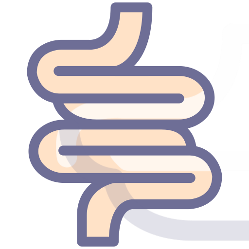 digestive tract Icon