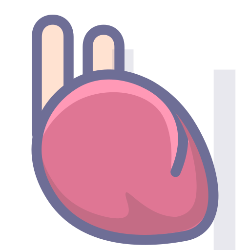 Heart, organ Icon