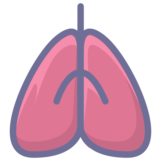 Lungs, organs Icon