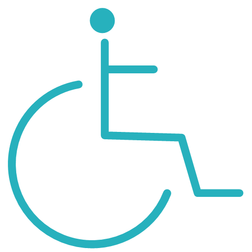 handicapped Icon