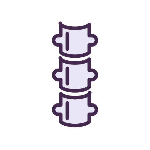 SPINE Icon
