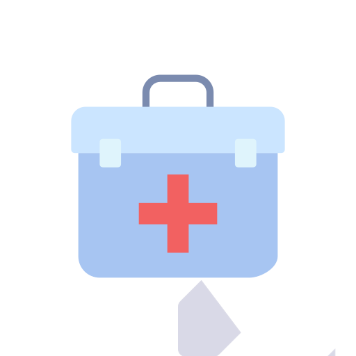 Medical bag Icon