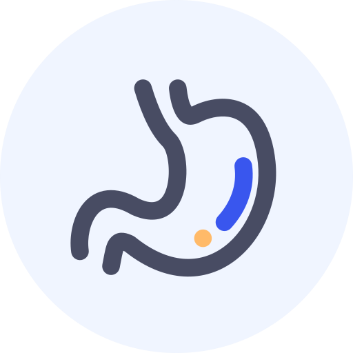 Digestive department Icon