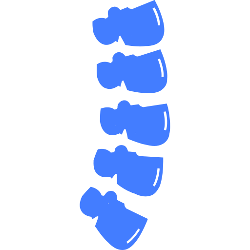 cervical vertebra Icon