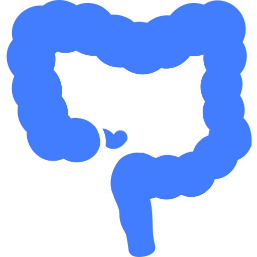 colorectal Icon