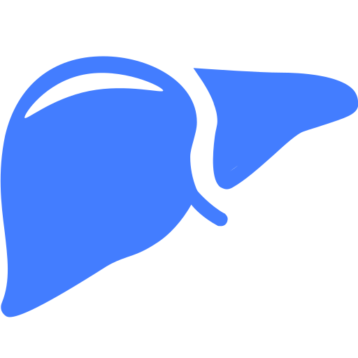 liver Icon