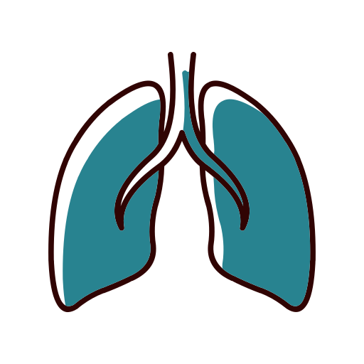 Medicine lung Icon