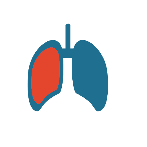 Lung disease Icon