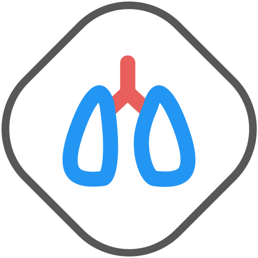 respiratory tract Icon