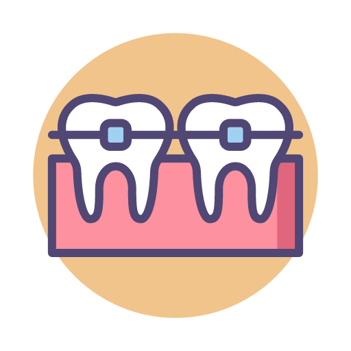 Dental Braces Icon
