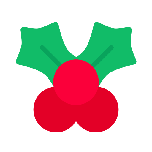 Christmas - fruit Icon