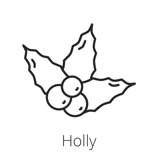 holly Icon
