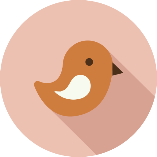 Little bird Icon