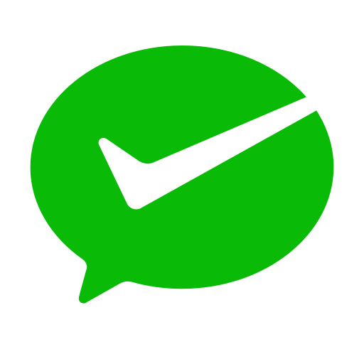 Payment - wechat Icon