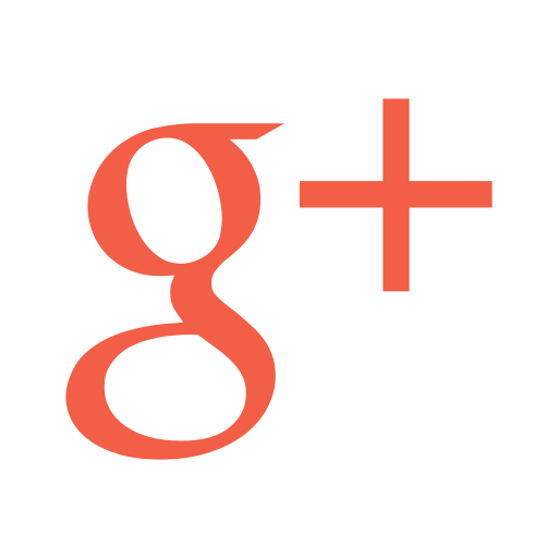 Google Google Icon