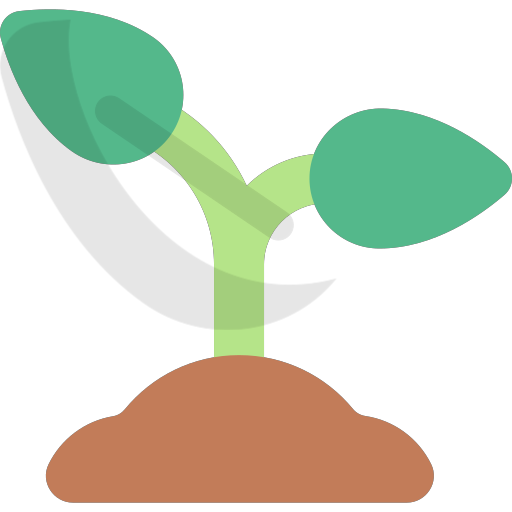 047-sprout Icon