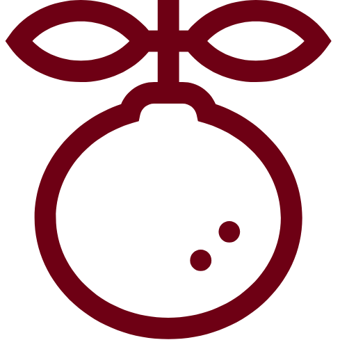 orange Icon