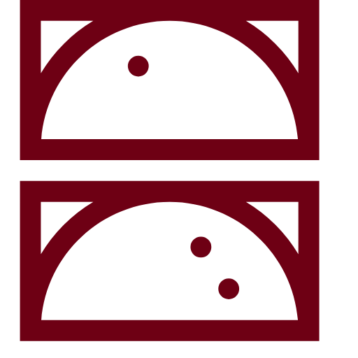 spring-rolls Icon