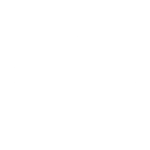 Sound waves Icon