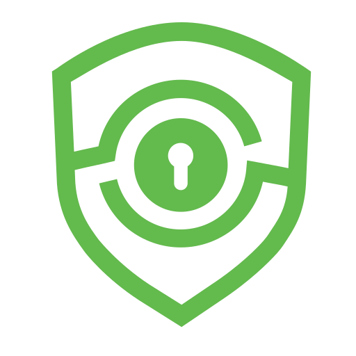DSi data security insurance Icon
