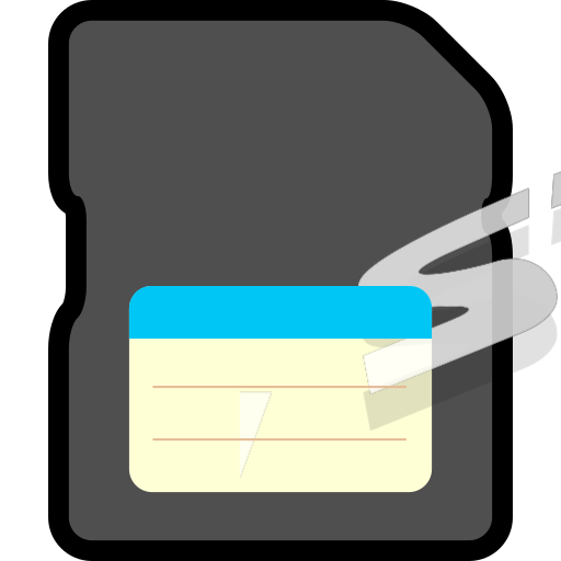 Memory card, flash memory, space Icon