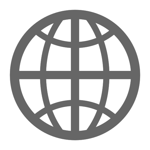 international Icon