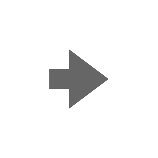 arrow-small-right Icon