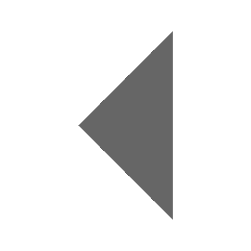 triangle-left Icon