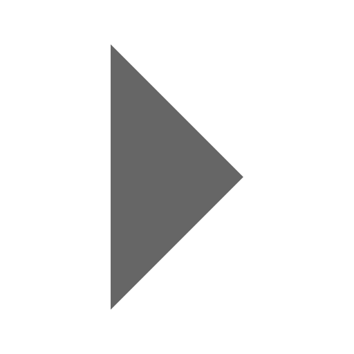 triangle-right Icon