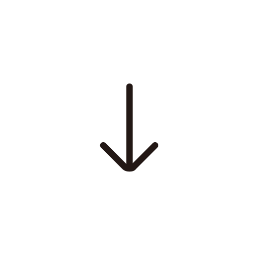 024__arrow2_down Icon