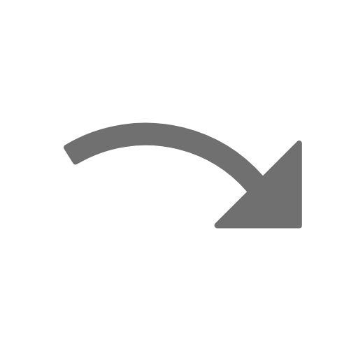 Next step 2 Icon