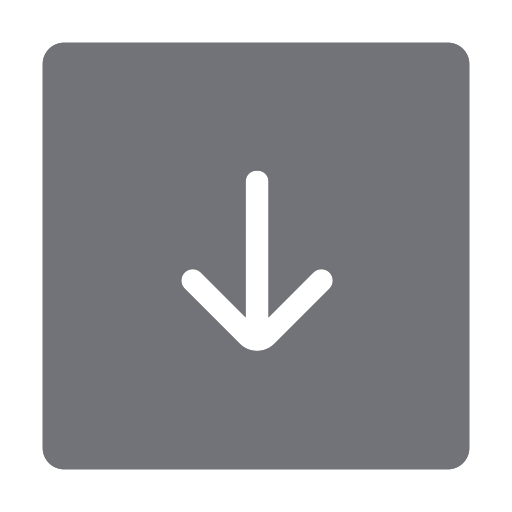 input Icon