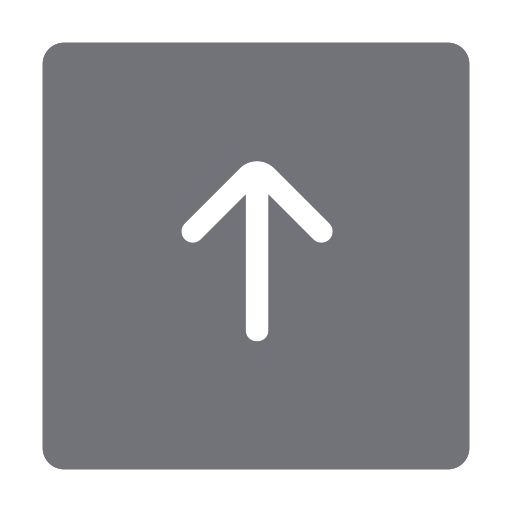 output Icon