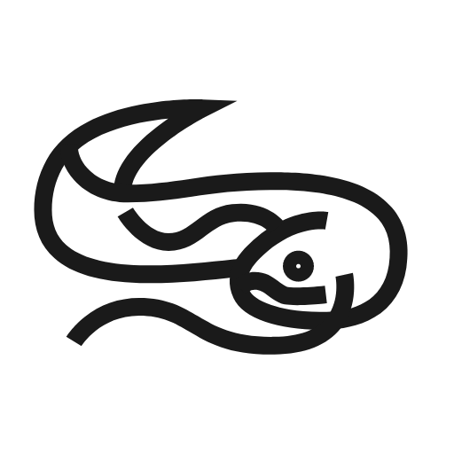 Lung fish Icon