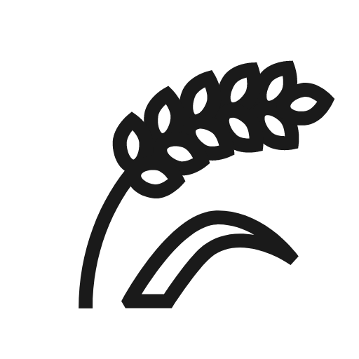 rice Icon