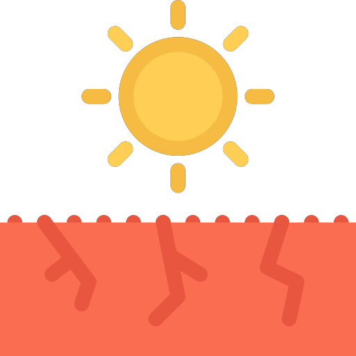 drought Icon