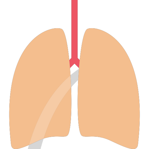 lungs Icon