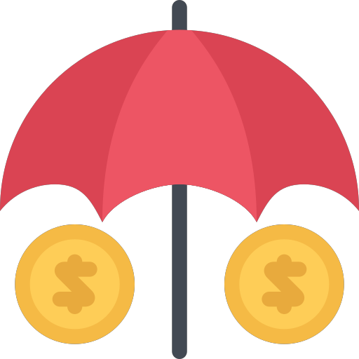 money insurance Icon