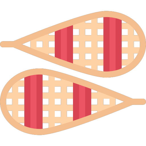 snowshoes Icon