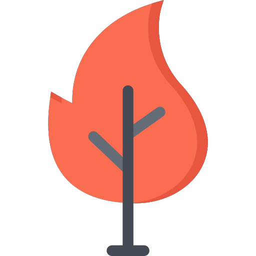 wildfire Icon