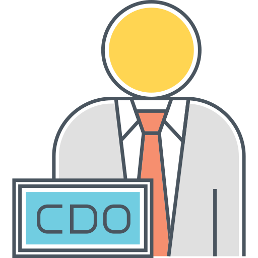 CHIEF DATA OFFICER Icon