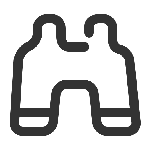 explore Icon