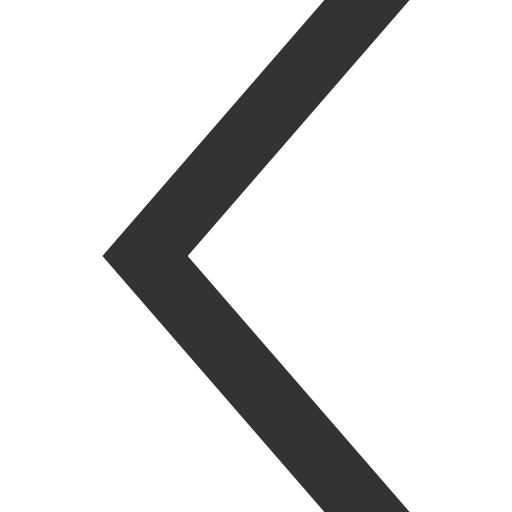 arrow thin left Icon