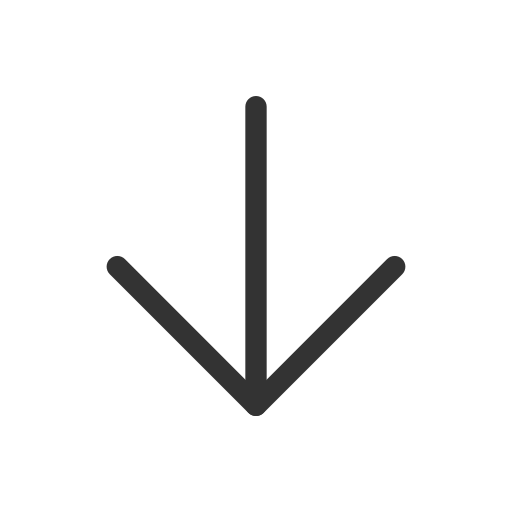 Arrow down Icon
