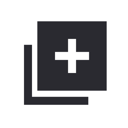 copy Icon