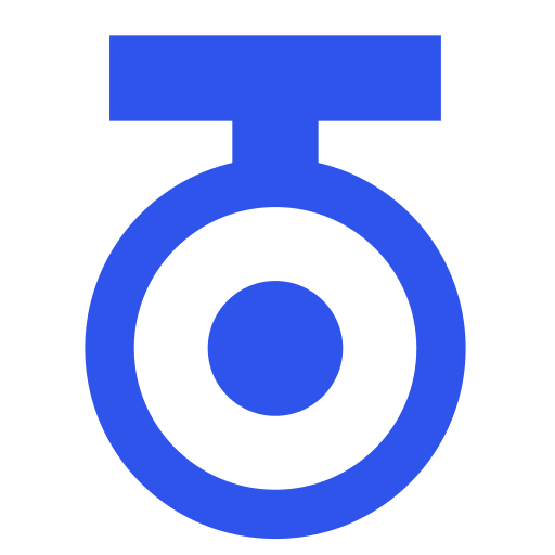 Video monitoring point Icon